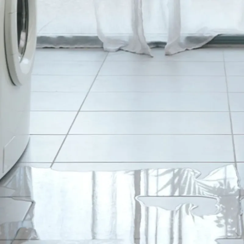 Appliance Leak Cleanup in Newton, TX