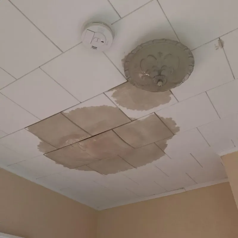 Ceiling Water Damage Repair in Newton, TX
