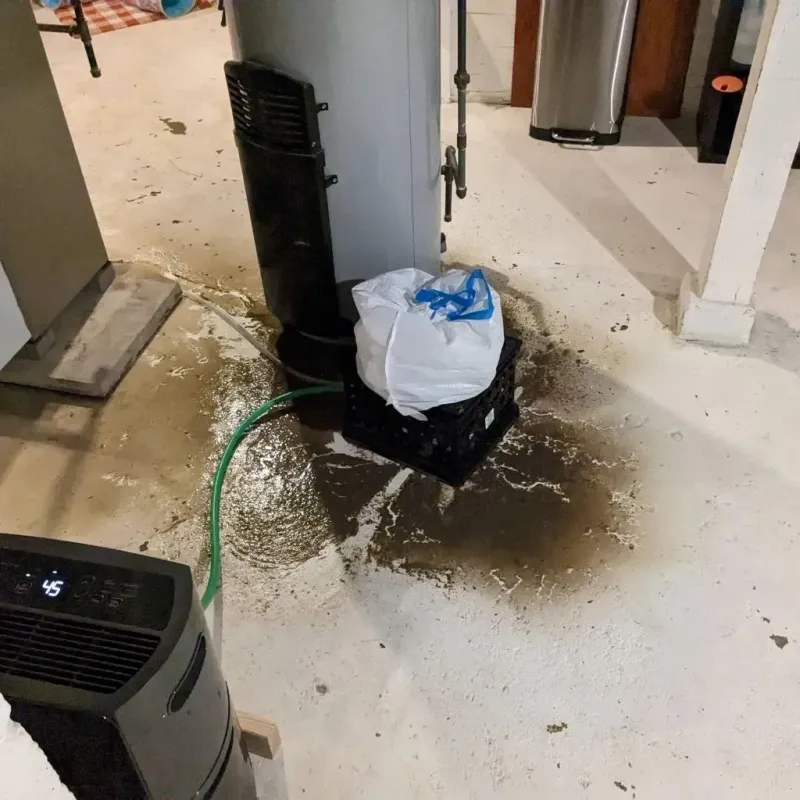 Sewage Backup Cleanup Service in Newton, TX